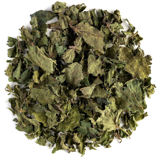 Nettle leaf Tea| 50 g loose | GBC Tea